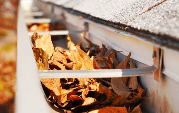 Periton gutter cleaning companies